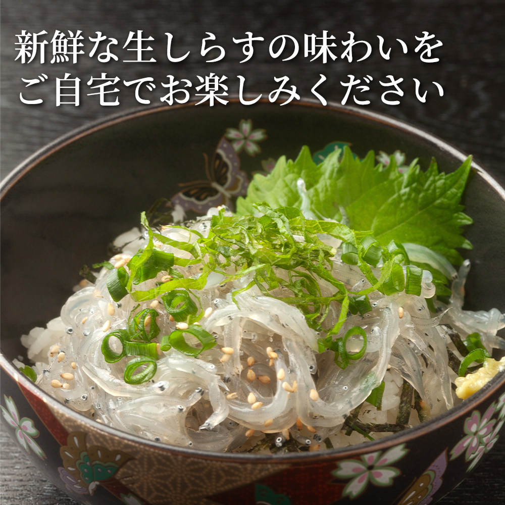 極上】大阪産 冷凍生しらす 500g（100g×5）しらす丼タレ4個付き 冷凍