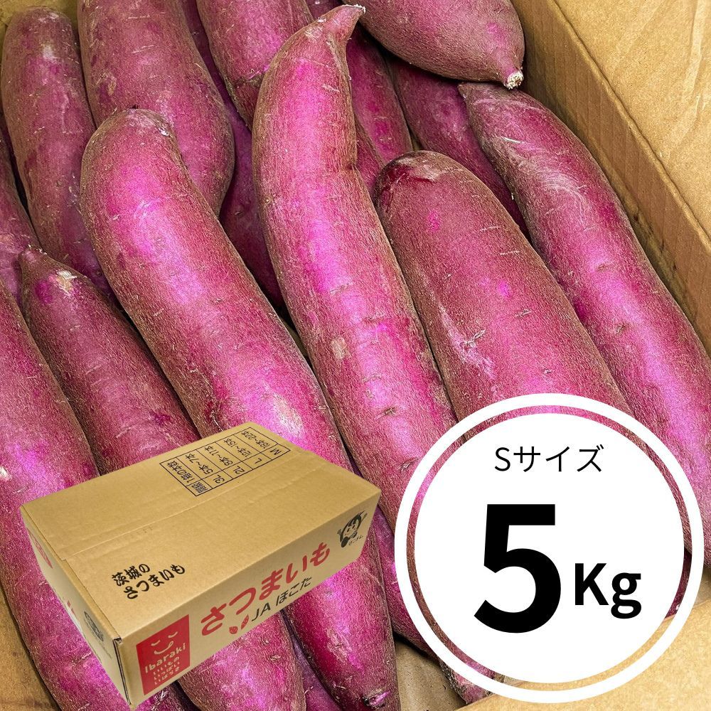 @܂@5kg@錧Y@30`35{O@STCY@@Â@ӂނ炳