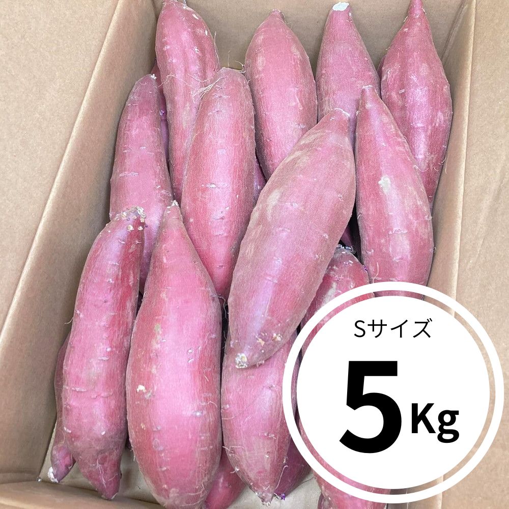 ܂@VNXC[g@錧Y@30`35{@5kg@STCY@@Â@炩