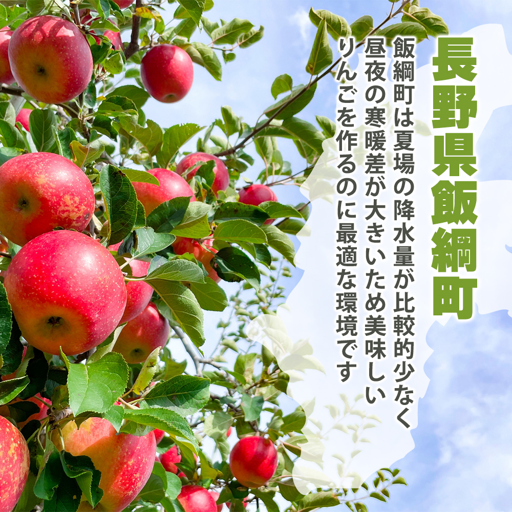 りんご3点おまとめ 長野県産】おてんばりんご (サンふじ) 3kg サイズ無選別｜うさマート