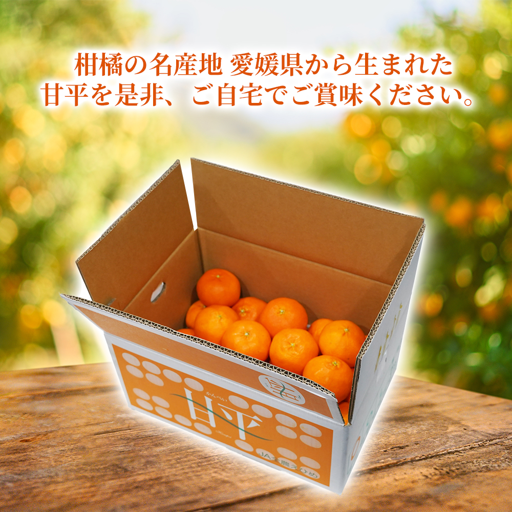 かん ぺい みかん