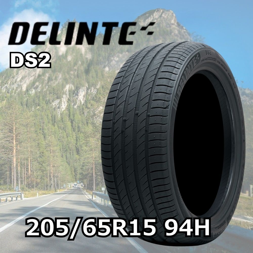 [1�{] DS2 205/65R15 94H