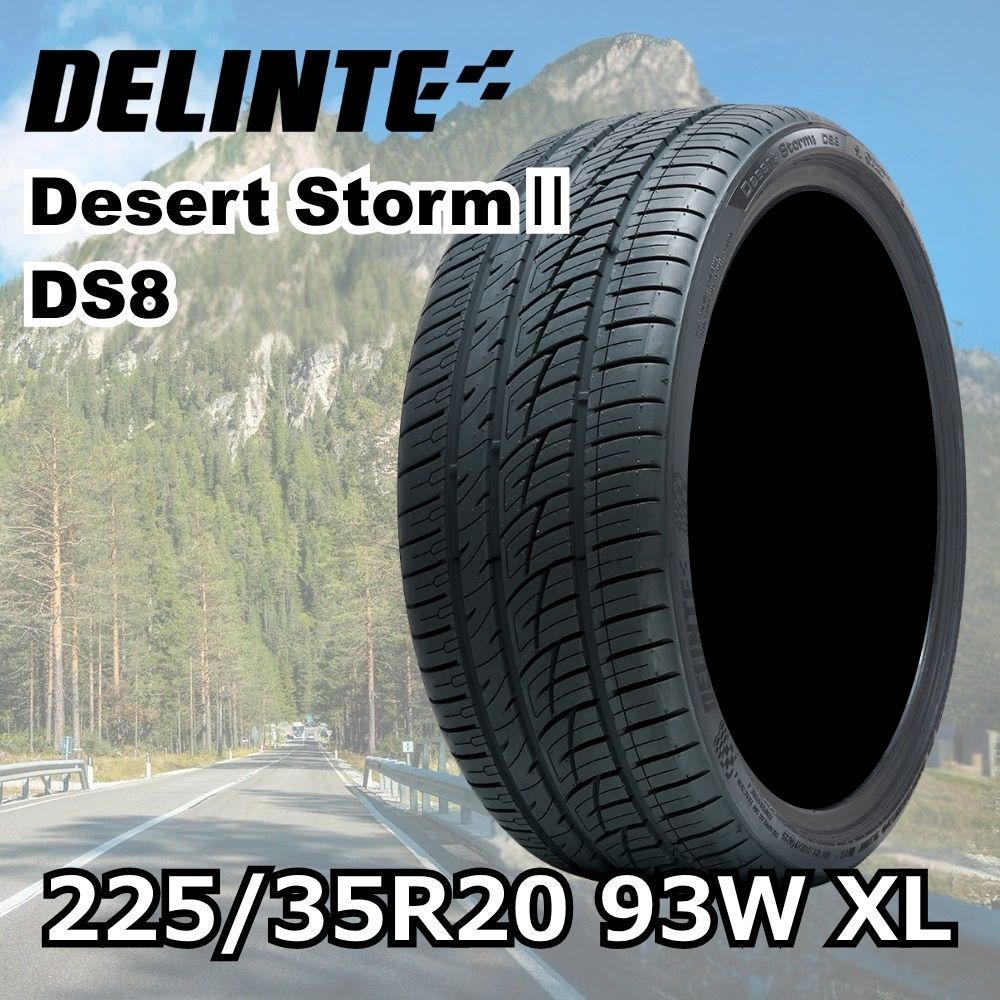 DELINTE デザートストームII DS8 225/35R20 93W XL｜うさマート 